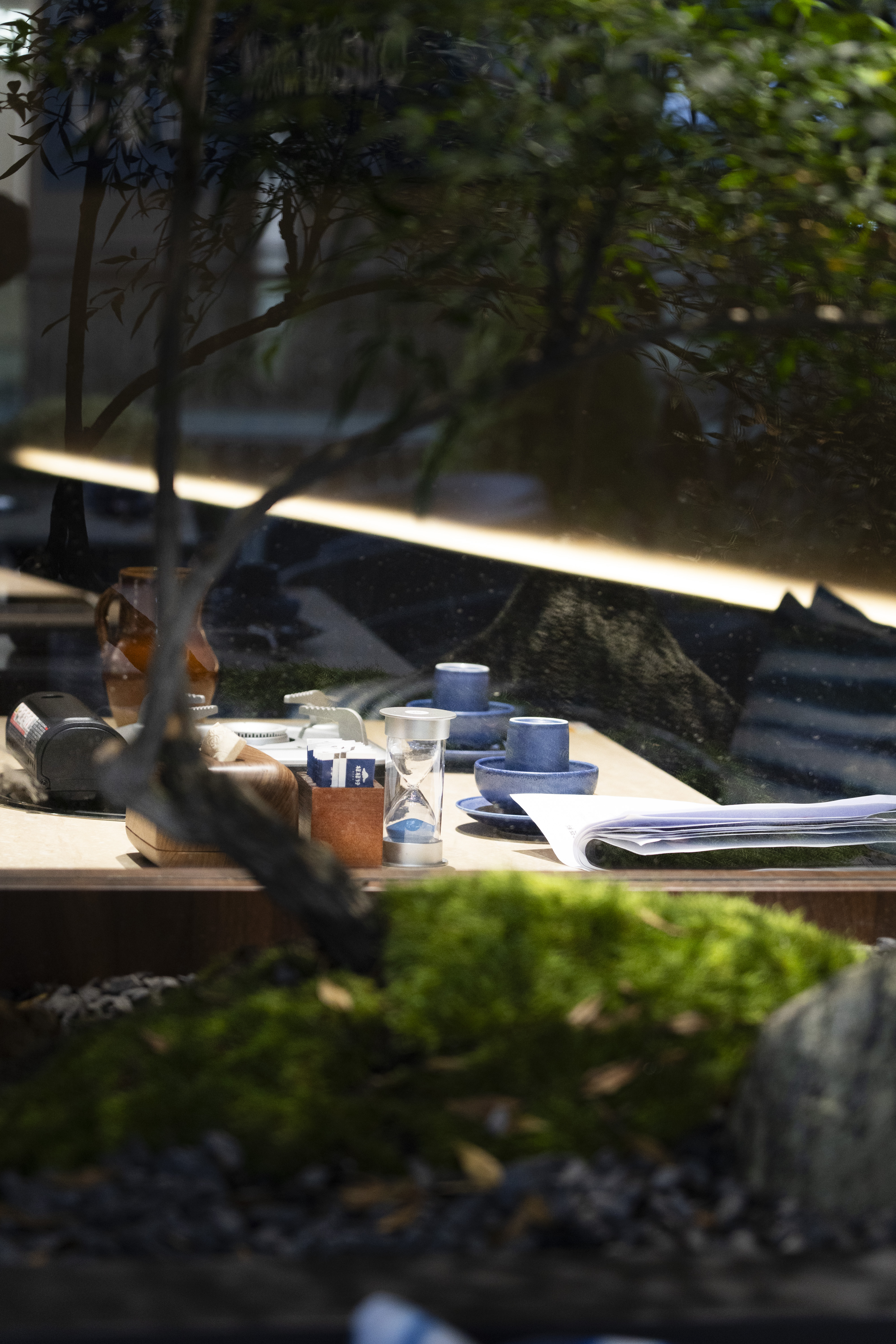 云来菌 A Breathing Landscape Between Tables 1